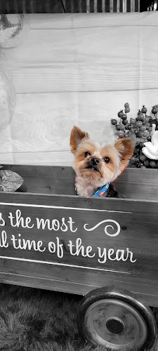 The Dirty Dog Grooming and Boarding LLC