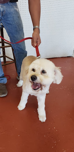 The Dog House - Corpus Christi