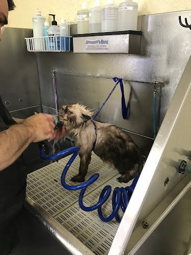 The Dog House of Belleview