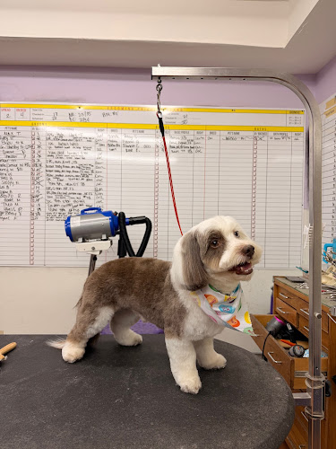 The Dog House Pet Salon - Galleria