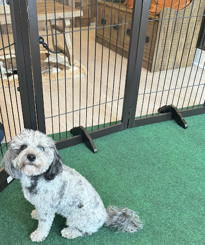 The Dog Man Shop & Grooming Salon