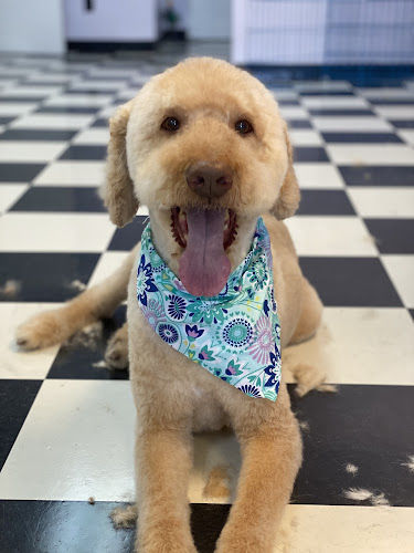 The Dog Nanny Grooming Salon