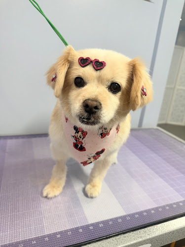 The Dog Spaw Grooming