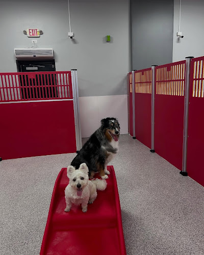 The Dog Stop - Lexington South