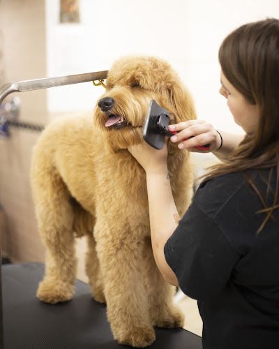 The Dog Stop - Middletown, Delaware