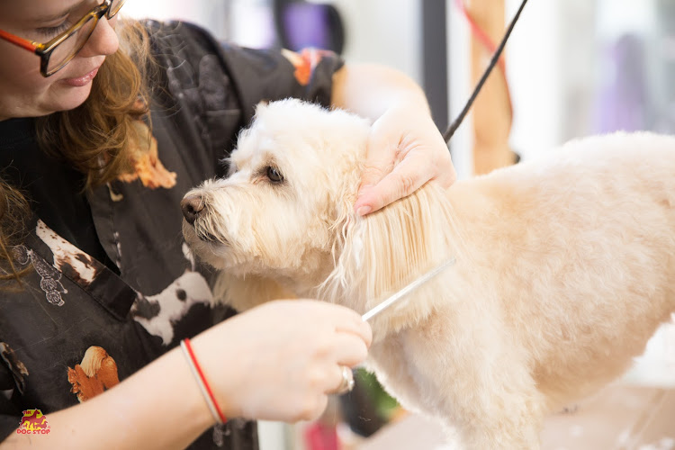 The Dog Stop - West Liberty/South Hills, Pittsburgh