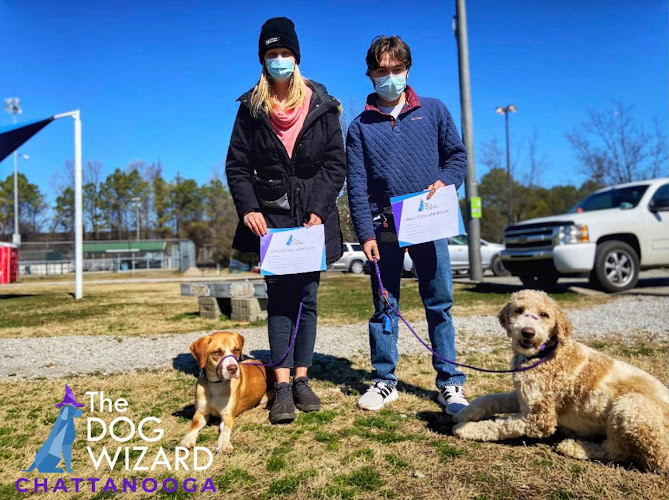 The Dog Wizard Chattanooga