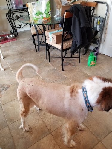 The DogFather Grooming