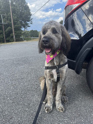 The Doggie Lama Salons