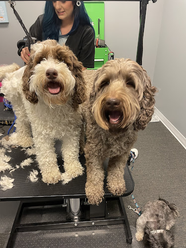 The Fairy Dog Groomer