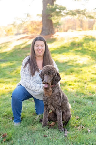 The Fairy Dogmother Grooming