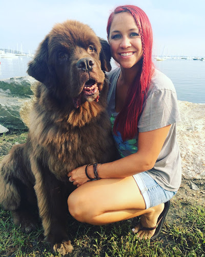 The Fairy Dogmother LLC