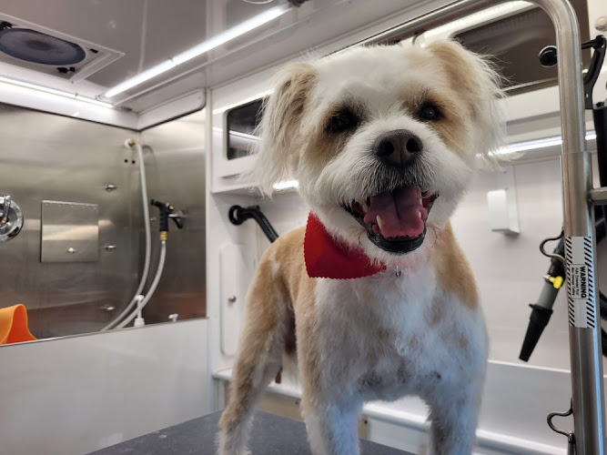 The Good Dog Spa - Cage Free Grooming & Mobile Grooming