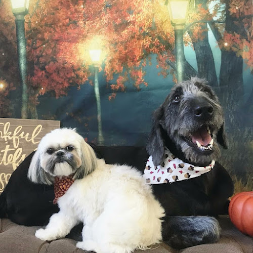 The Groom Room Pet Spa - Delray Pet Grooming