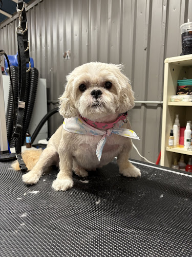 The Groom Room @ The Cattery