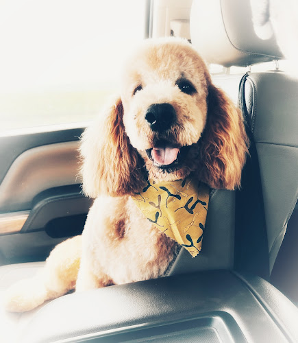 The Grooming Cottage