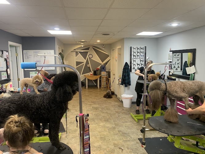 The Grooming Gallery