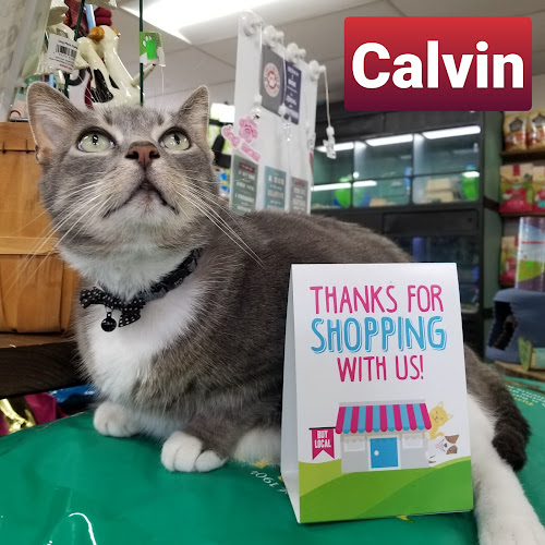 The Grooming Place Pet Shop