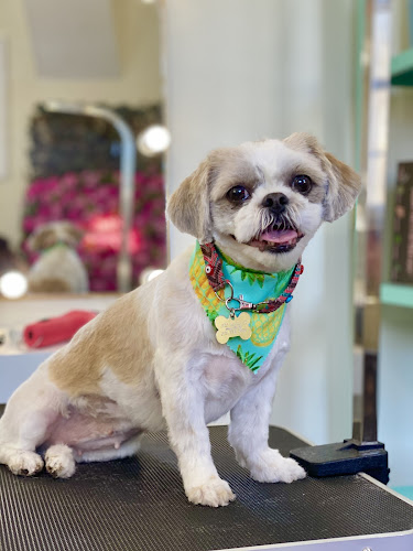 The Grooming S’paw