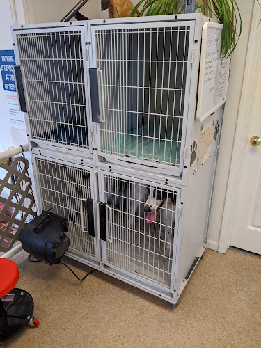 The Grubby Pup/Superior Puppy Obedience Training LLC