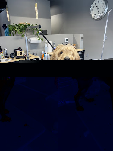 The Hairy Sofa Downtown