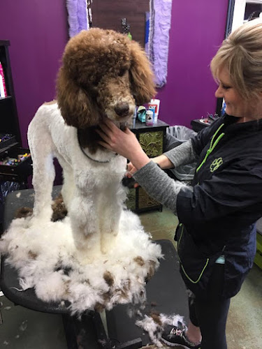 The Hairy Sofa Pet Grooming Boutique