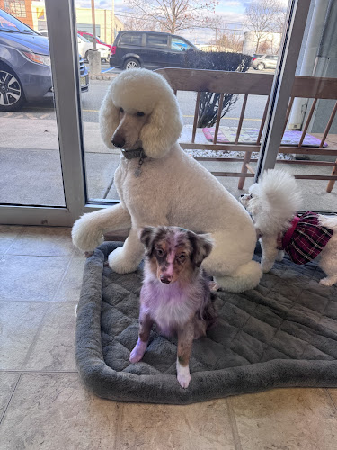 The Haunted Hound LLC