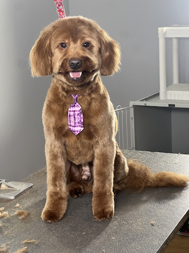 The Hound Hairdresser