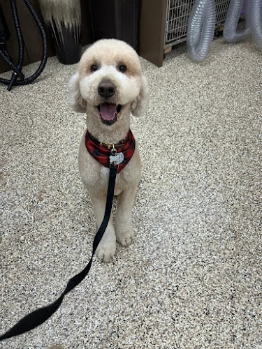 The Hounds Lounge LTD