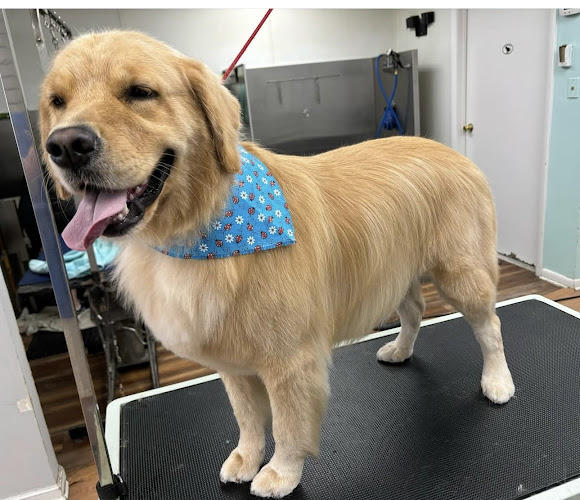 The Muddy Puppy pet grooming