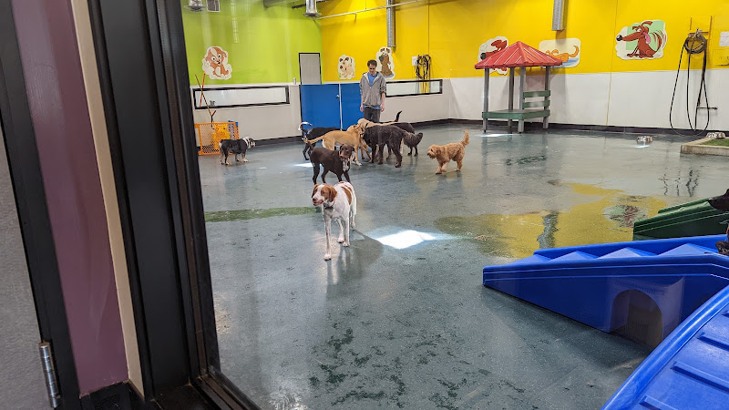 The Pampered Pet Hotel & Grooming Spa