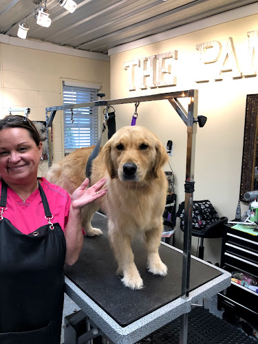 The Pampered Pooch Pet Spa & Resort