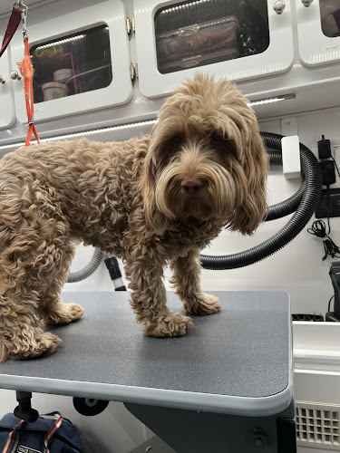 The PawfectTouch PetSpa