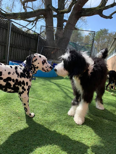 The Pet Lodge Maryland