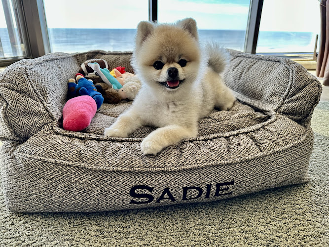 The Pines Pet Pampering