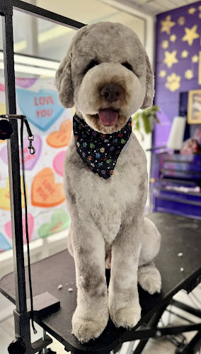 The Pupparazzi Dog Spaw