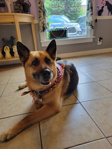 The Purple Poodle Pet Salon