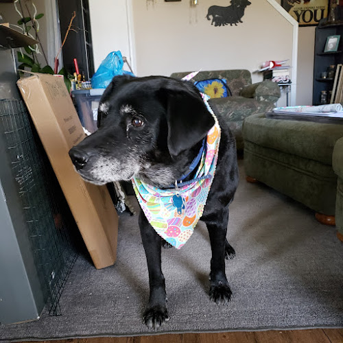 The Retreat at Creekside