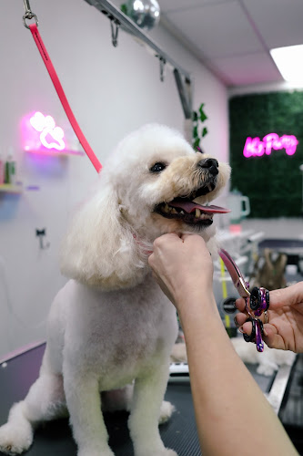 The Savannah Groom Room