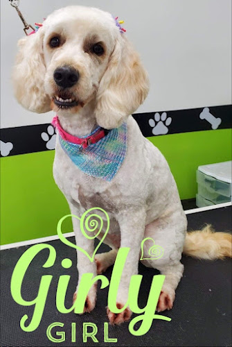 The Tails of Tuppers Creek