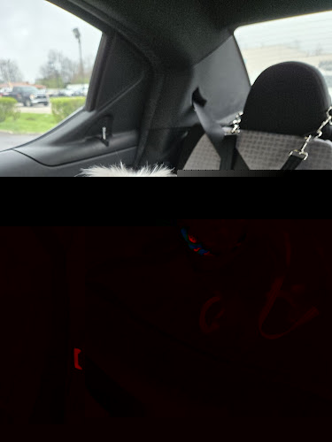 The Trim Room Pet Grooming