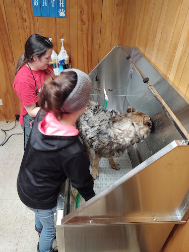 The Twins Pet Grooming