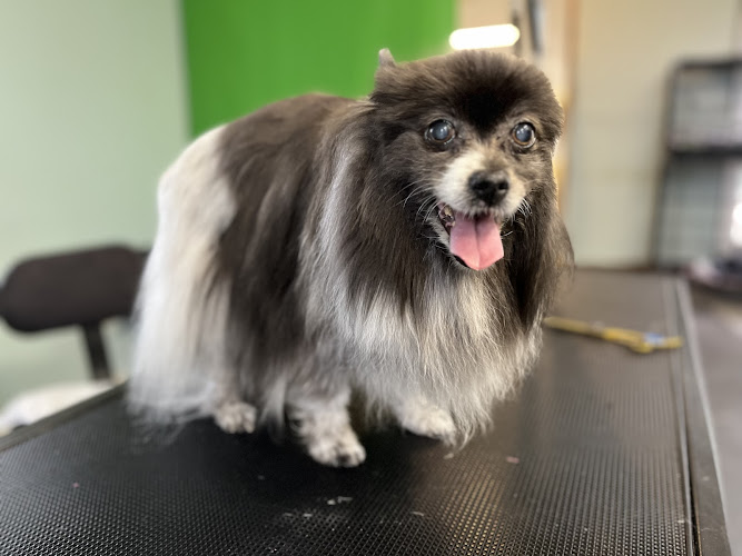 The Ultimutt Grooming Hut