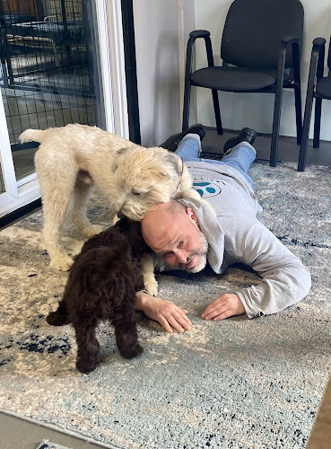 The Winston Pet Hotel