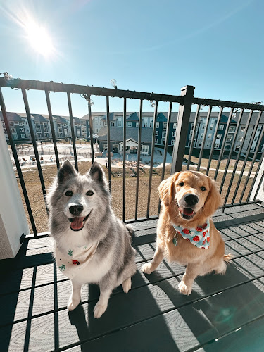 The Wizard of Paws Pet Grooming