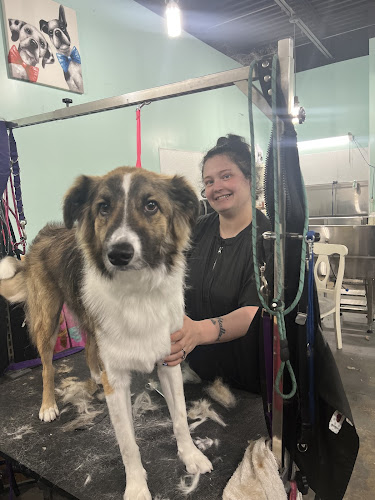 The Yuppy Puppy Pet Spa And Boutique