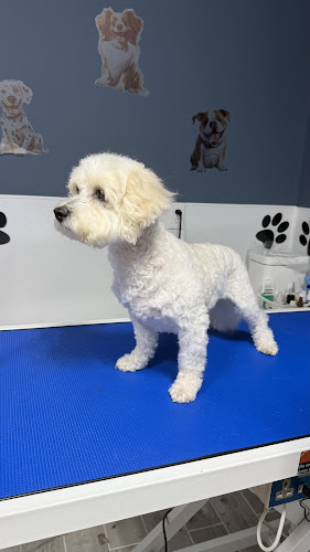 Three Bark Pet Hotel