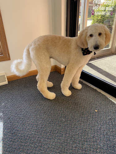 Three Paws Salon and Spa