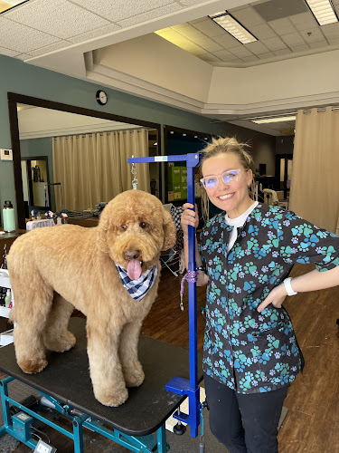 Tidy Pawz Pet Grooming