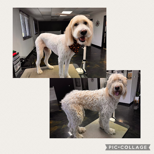 Tidy Tail Dog Grooming Salon